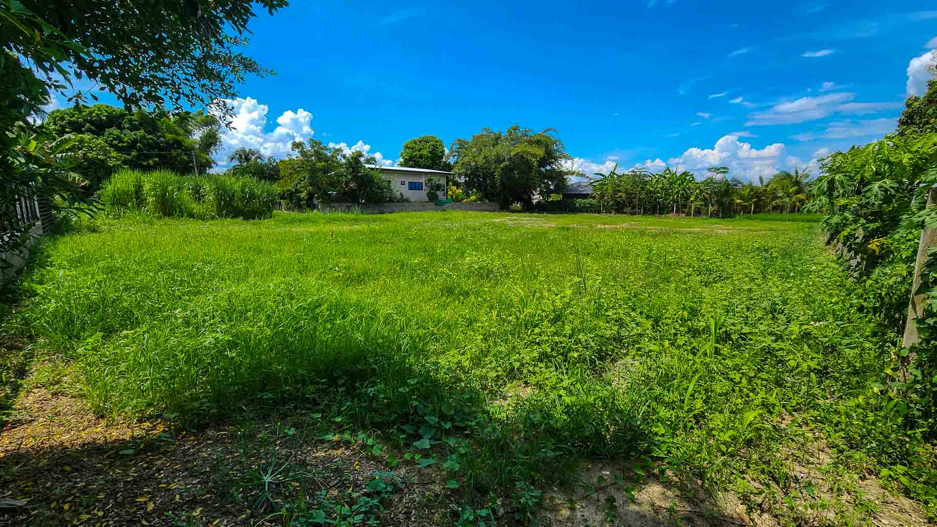 Land For Sale Mae Rim - PC-MR001