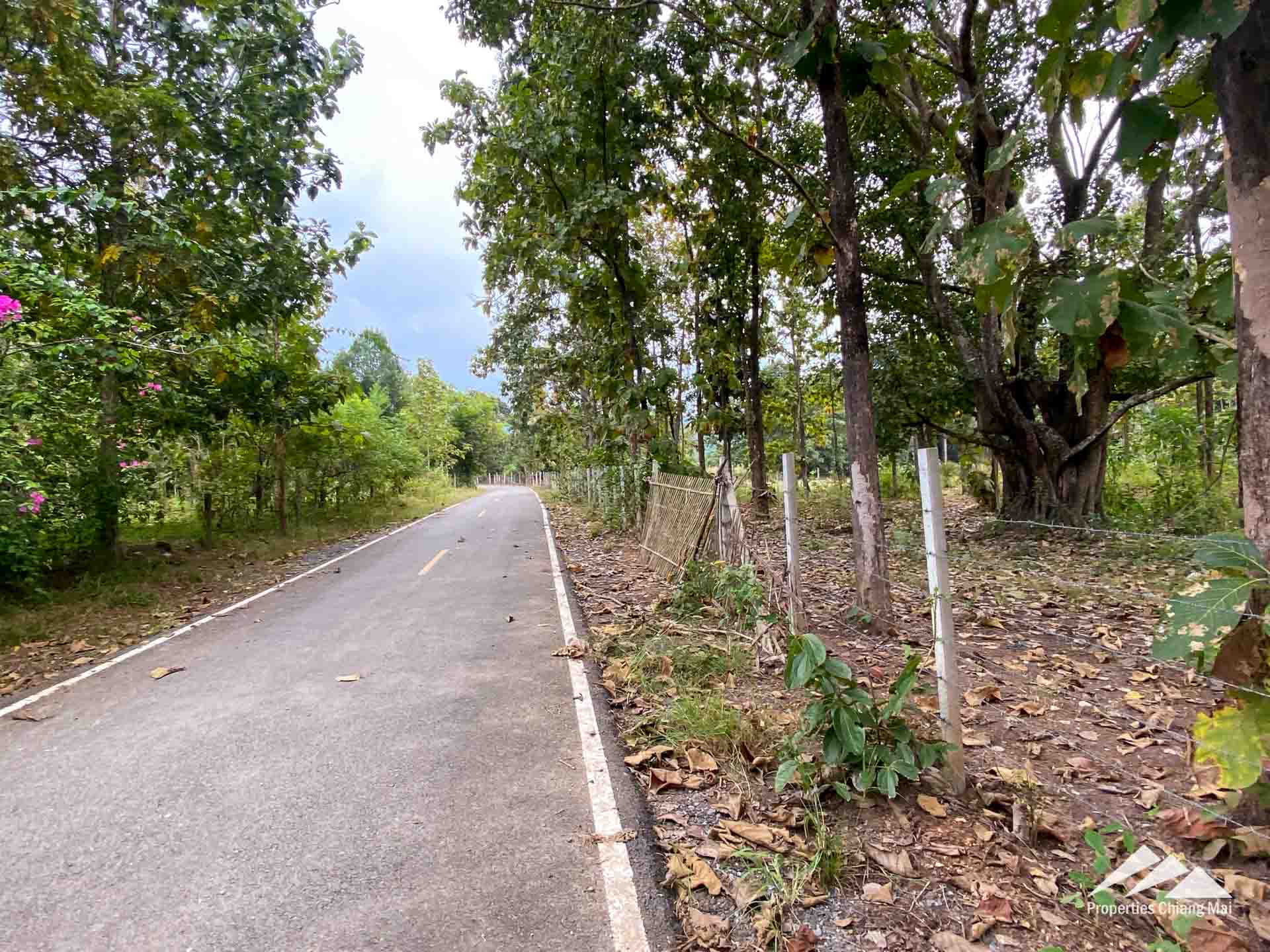 Land For Sale In Mae On Chiang Mai - PC-MO003