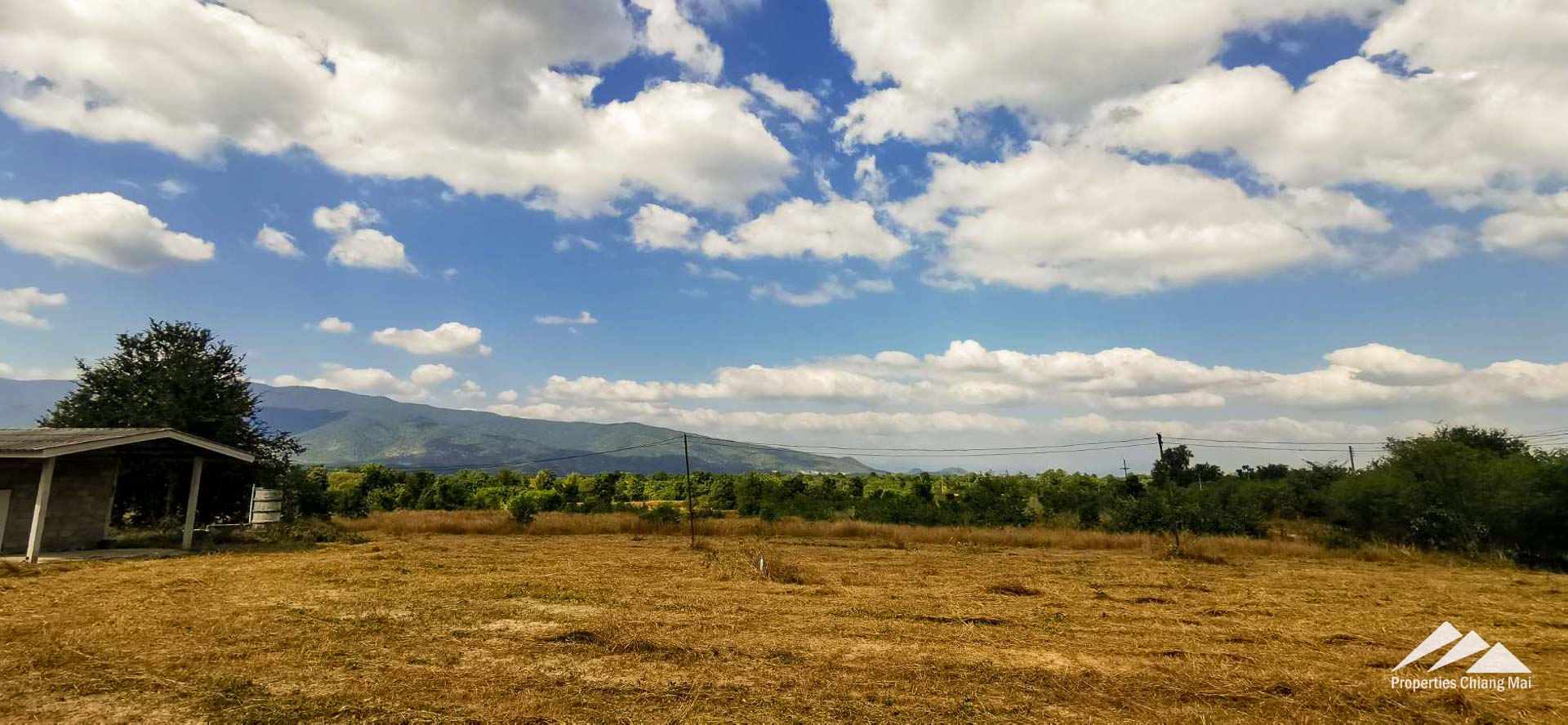 Land For Sale In Lamphun Chiang Mai - PC-LP001