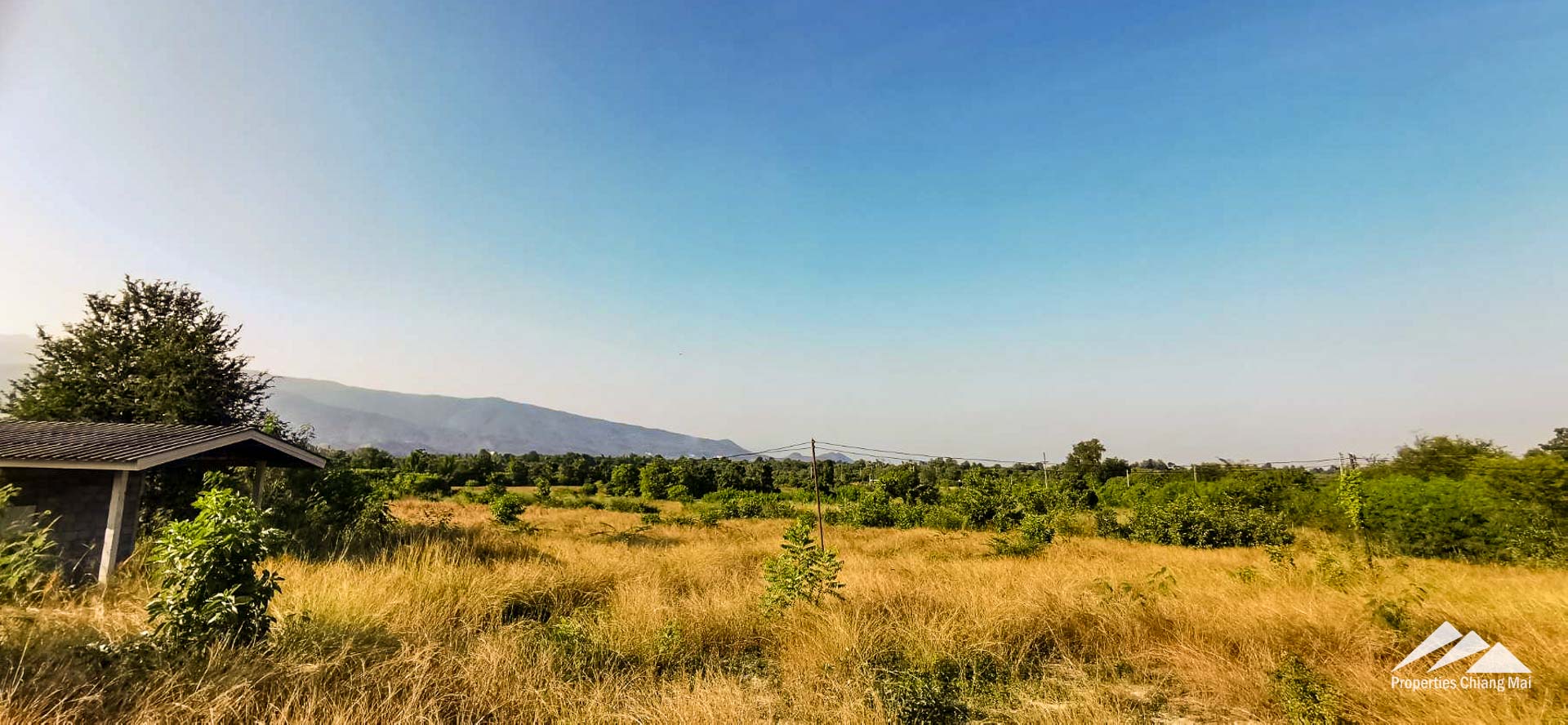 Land For Sale In Lamphun Chiang Mai - PC-LP001