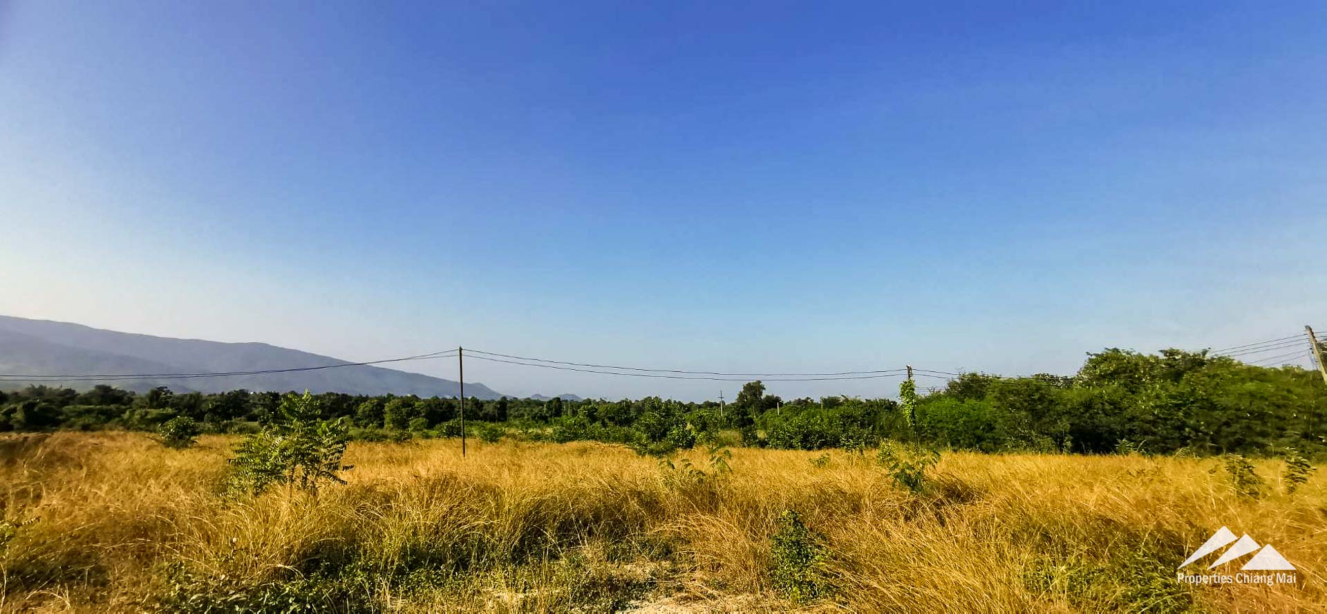 Land For Sale In Lamphun Chiang Mai - PC-LP001