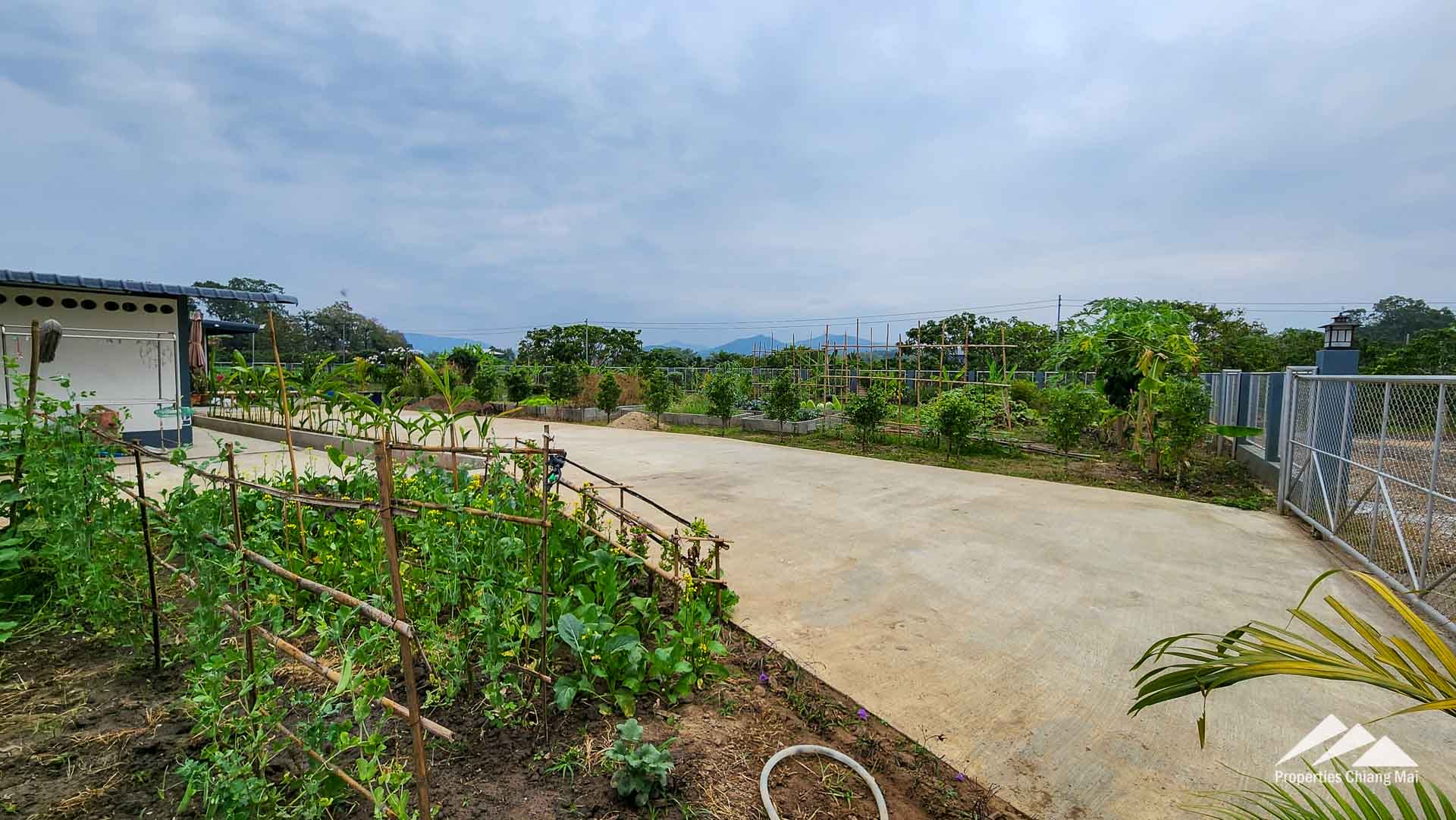 House For Sale San Pa Tong, Chiang Mai - PC-SPT001