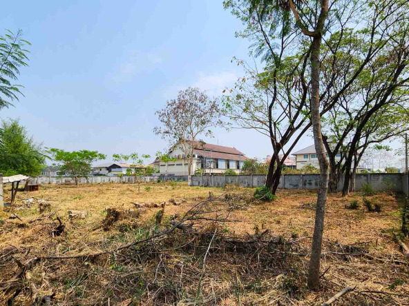 Land For Rent Tha Sala, Mueang Chiang Mai - PC-MCM008