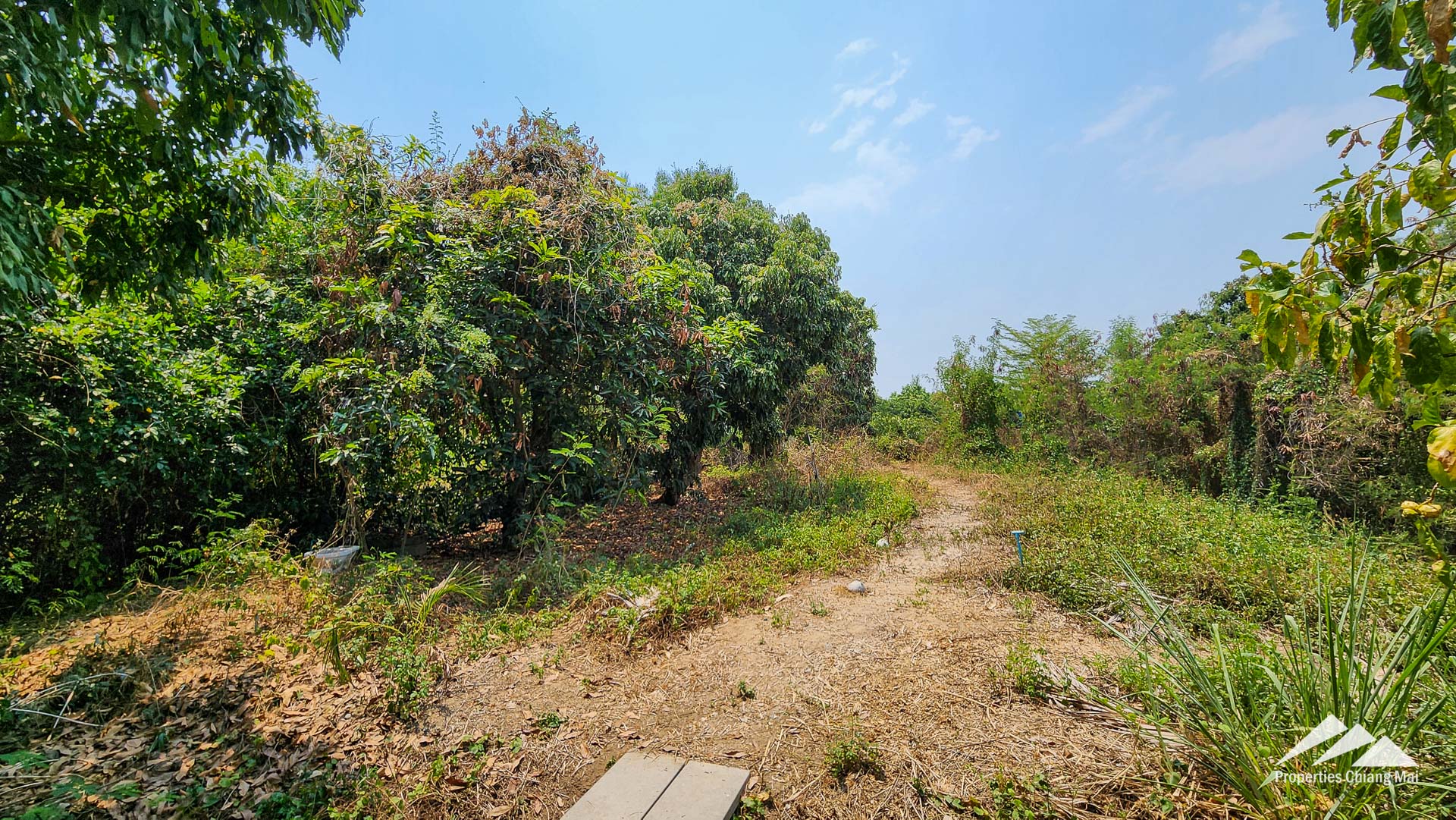 Land For Sale In San Kampang, Chiang Mai - PC-SANK005