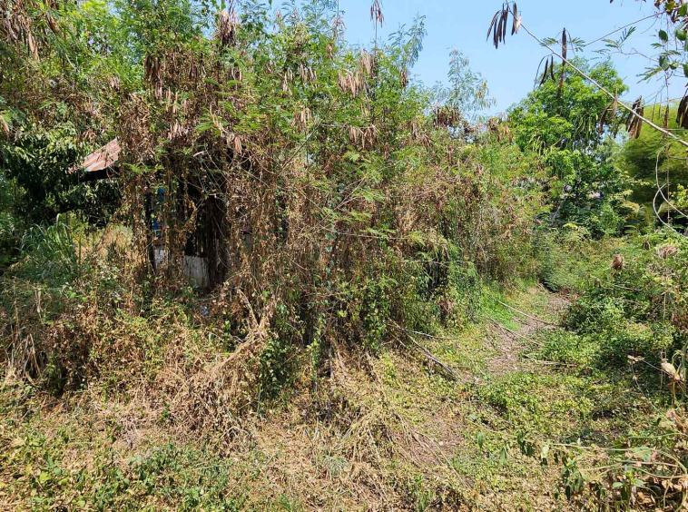 Land For Sale In San Kampang, Chiang Mai - PC-SANK005