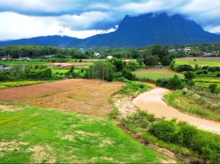 Property ID201LS Land for sale in Chiang Dao