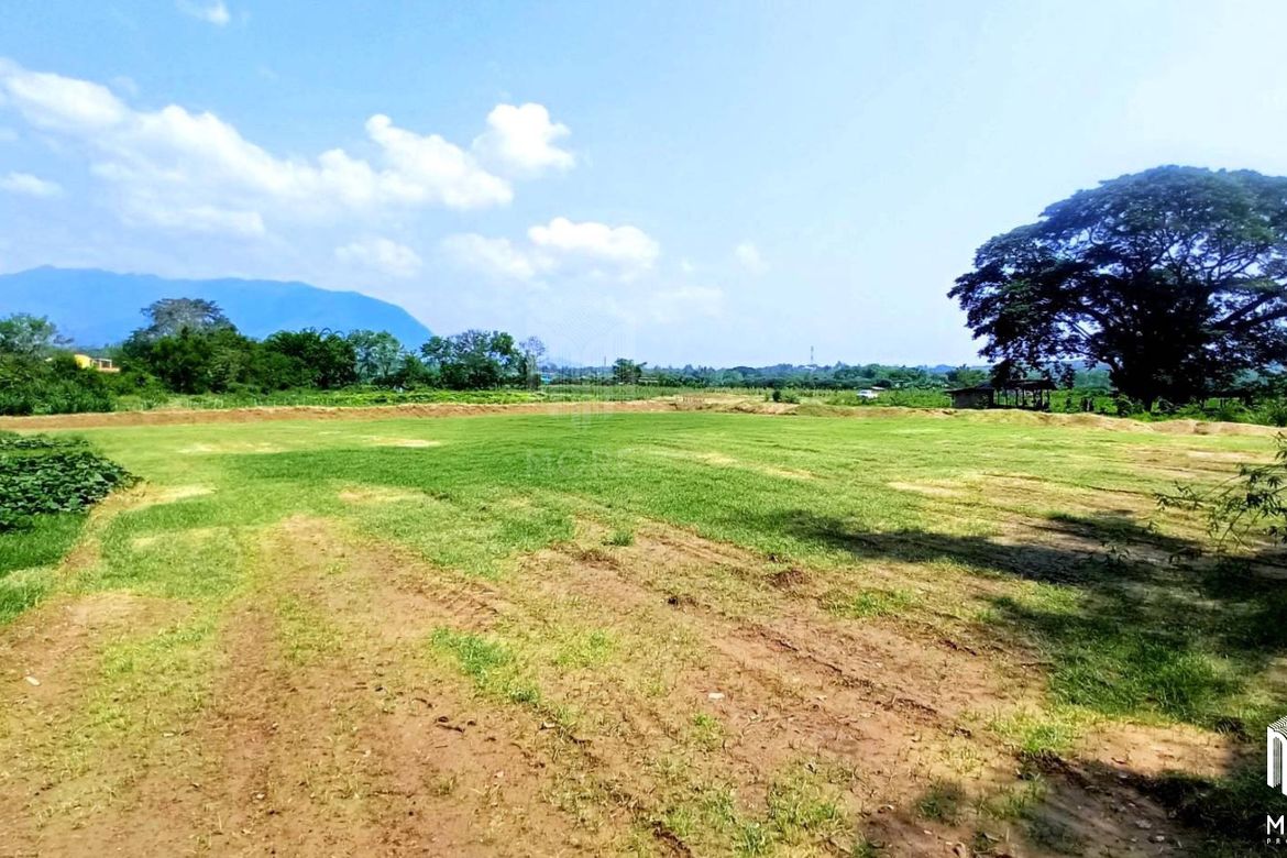 Property ID201LS Land for sale in Chiang Dao