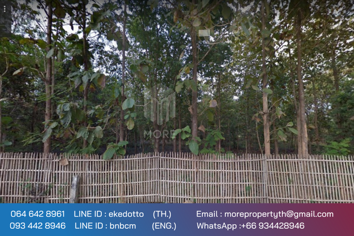 Property id 066LS Land for sale in Chiang Mai 3-3-15 Rai near Nong Bua Phra Chao Luang