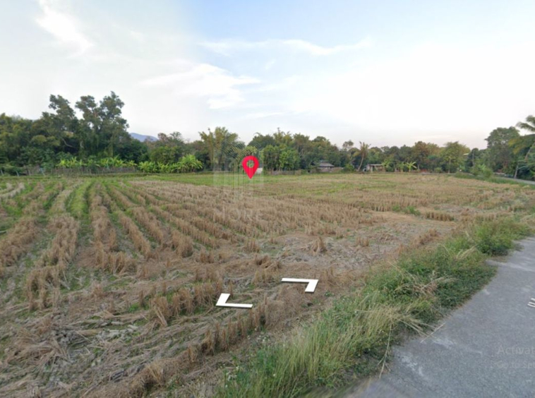 Property id149ls Land for sale in hangdong 1-1-53Rai nearSanctum Co.-MR-149ls