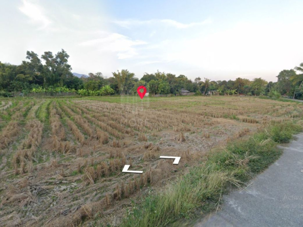 Property id149ls Land for sale in hangdong 1-1-53Rai nearSanctum Co.-MR-149ls