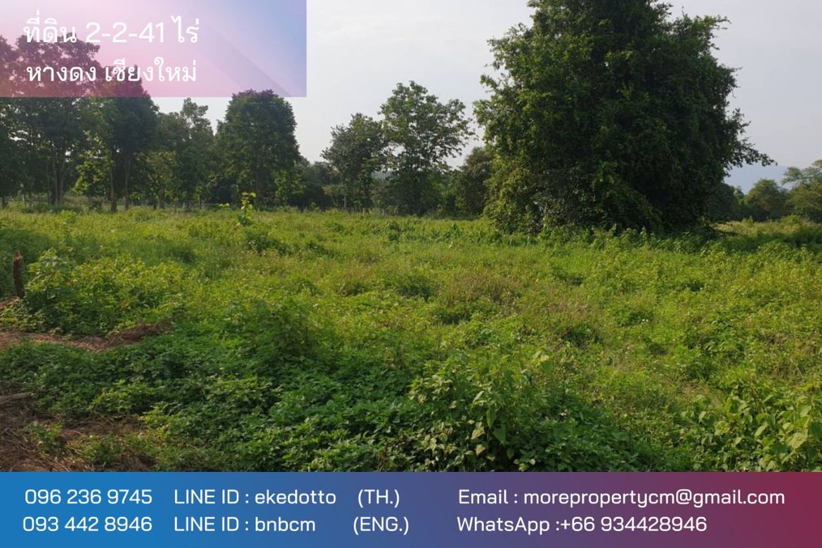 Property id175ls Land for sale in Hangdong 2-2-41 Rai near Grand Canyon water park-MR-175ls