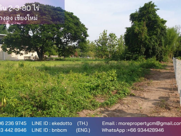 Property id177ls Land for sale in Hangdong 2-3-80 Rai near Grand Canyon water park-MR-177LS