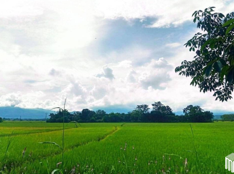 Property id 225ls Land for sale in San Pong