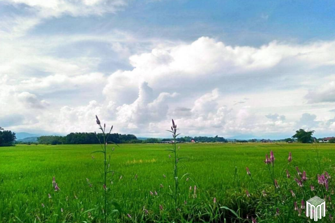 Property id 225ls Land for sale in San Pong