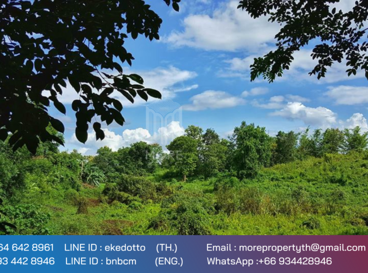 More-067LS Land for sale in Chiang Mai 123 Rai