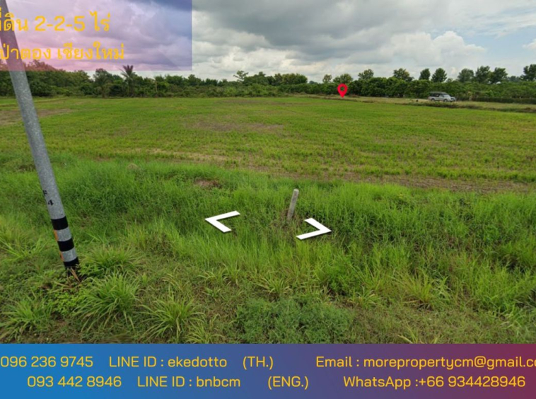 Property ID163LS Land for sale in Sai Pa Tong