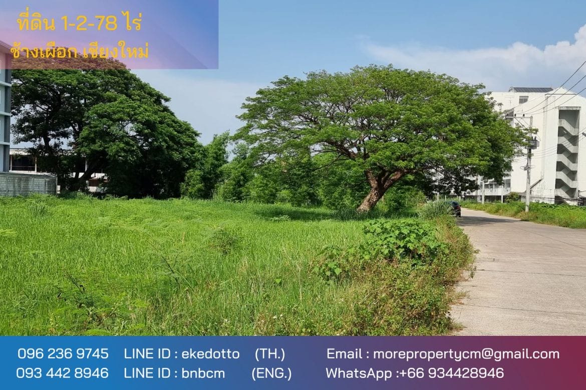 Property id141ls Land for sale in ChangPuek 0-0-52Rai near Rajabhat Chiangmai-MR-141ls