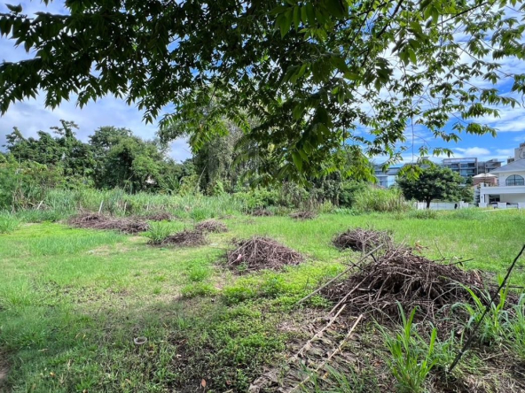 Property ID189LS Land for sale in Sutep Chiangmai 2Ngan near Chiangmai University-MR-189LS