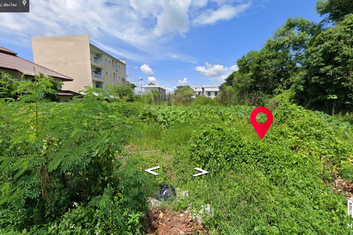 Property ID189LS Land for sale in Sutep Chiangmai 2Ngan near Chiangmai University-MR-189LS