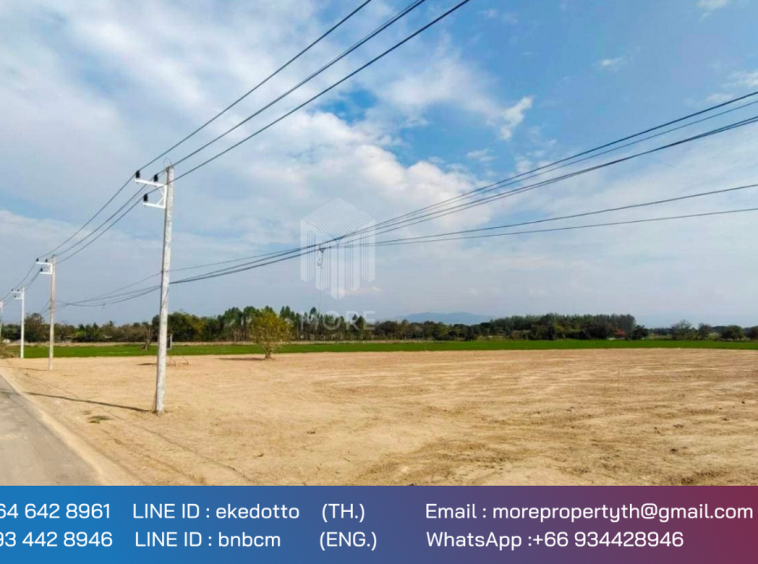 More-069ls Land for sale in San Kamphaeng