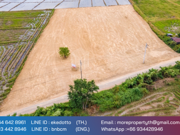 More-069ls Land for sale in San Kamphaeng