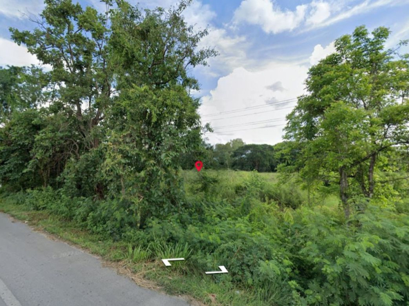 land for sale in san Kamphaeng 2 rai 2 ngan-MR-087LS