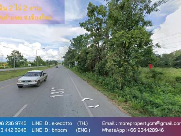 land for sale in san Kamphaeng 2 rai 2 ngan-MR-087LS