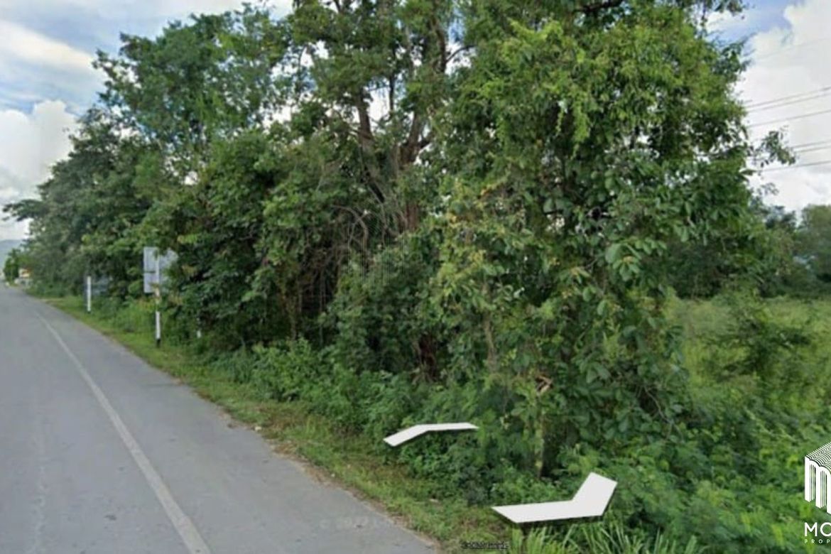 land for sale in san Kamphaeng 2 rai 2 ngan-MR-087LS