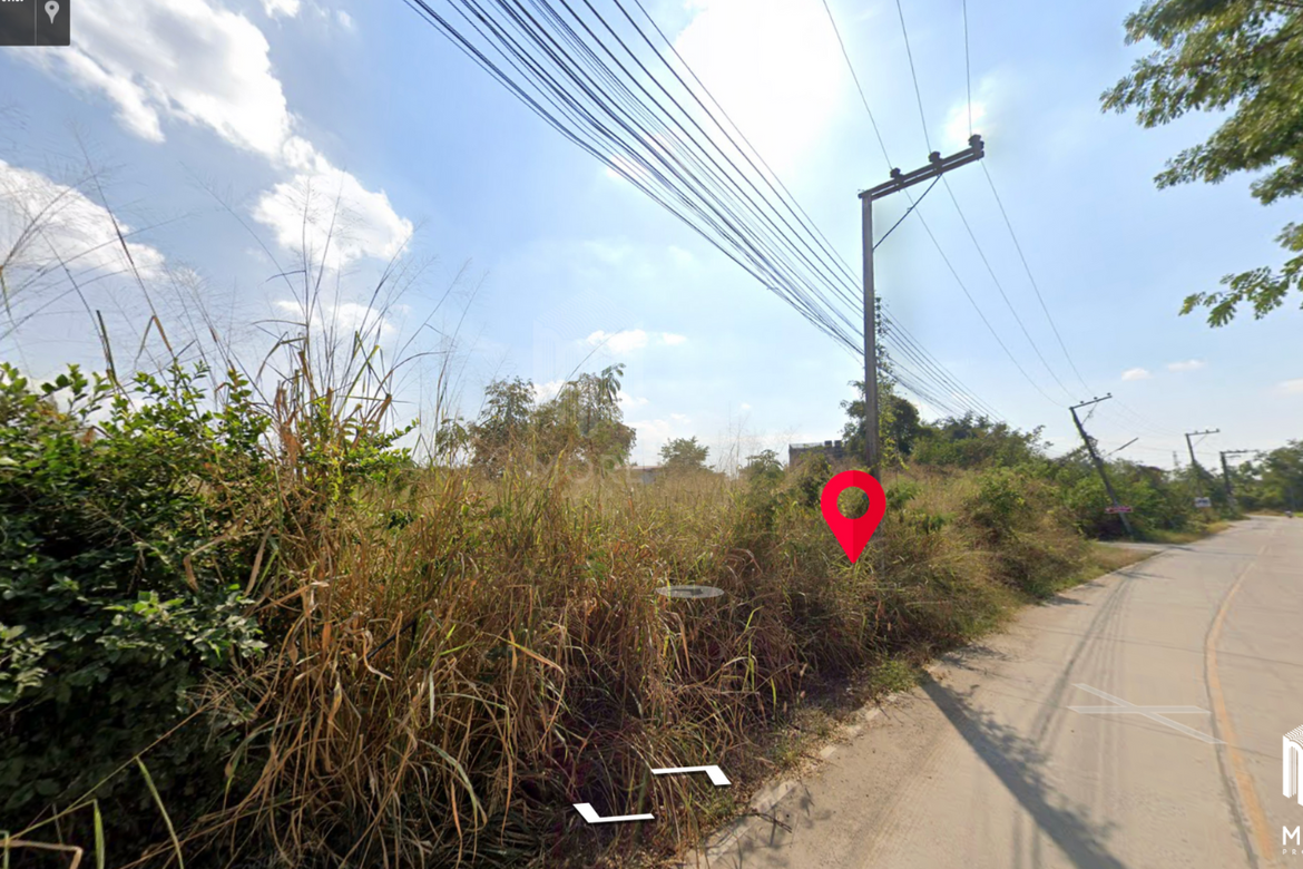 Land for sale in San kam phaeng 1Rai 3ngan 95sq.wa. near Charoen Charoen market (ID: 229LS)-MR-229LS