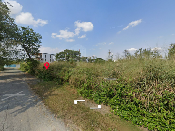 Land for sale in San kam phaeng 1Rai 3ngan 95sq.wa. near Charoen Charoen market (ID: 229LS)-MR-229LS