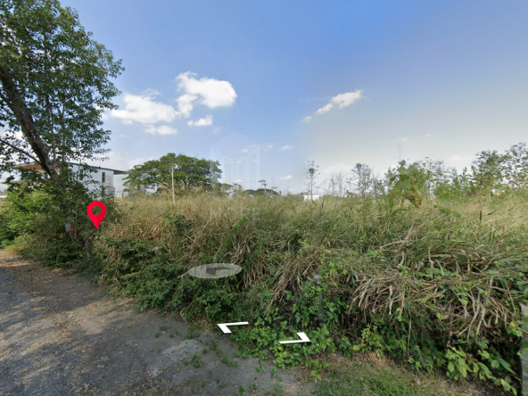 Land for sale in San kam phaeng 1Rai 3ngan 95sq.wa. near Charoen Charoen market (ID: 229LS)-MR-229LS