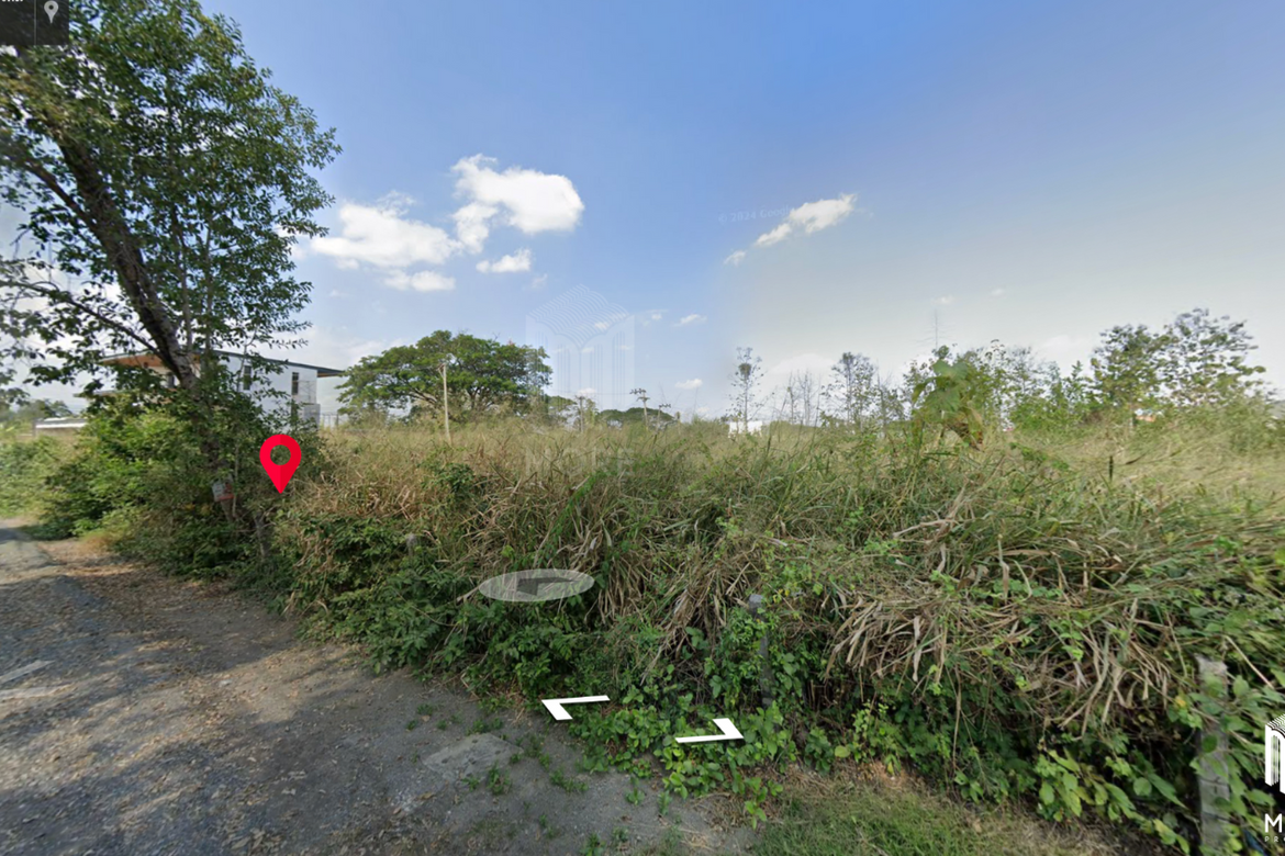 Land for sale in San kam phaeng 1Rai 3ngan 95sq.wa. near Charoen Charoen market (ID: 229LS)-MR-229LS