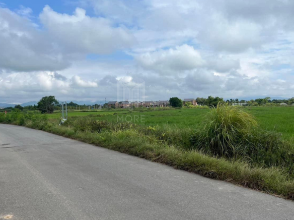 Property id226ls Land for sale in Hang Dong 16Rai near Grace international school-MR-226LS