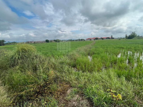 Property id226ls Land for sale in Hang Dong 16Rai near Grace international school-MR-226LS