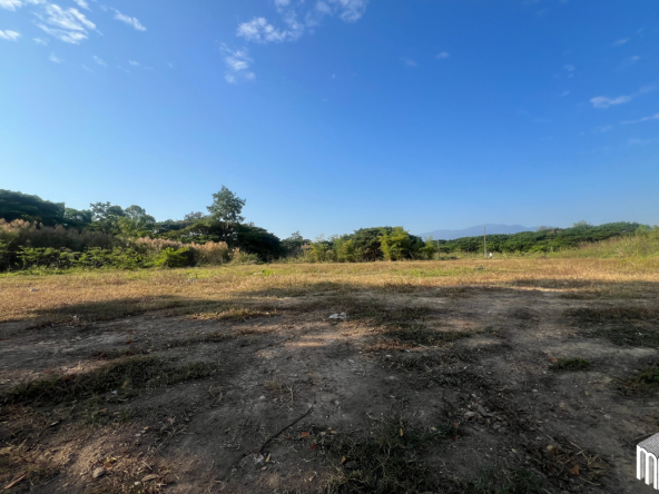 Property id208ls Land for sale in San Sai 3-1-72 sq.wa near Meajo University-MR-208LS