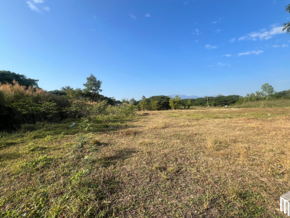 Property id208ls Land for sale in San Sai 3-1-72 sq.wa near Meajo University-MR-208LS