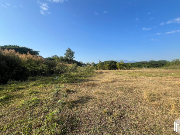 Property id208ls Land for sale in San Sai 3-1-72 sq.wa near Meajo University-MR-208LS