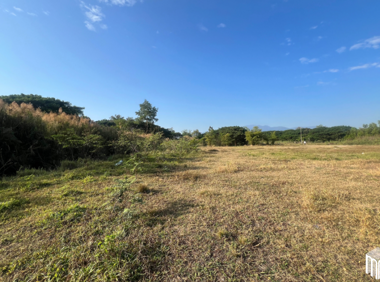 Property id208ls Land for sale in San Sai 3-1-72 sq.wa near Meajo University-MR-208LS