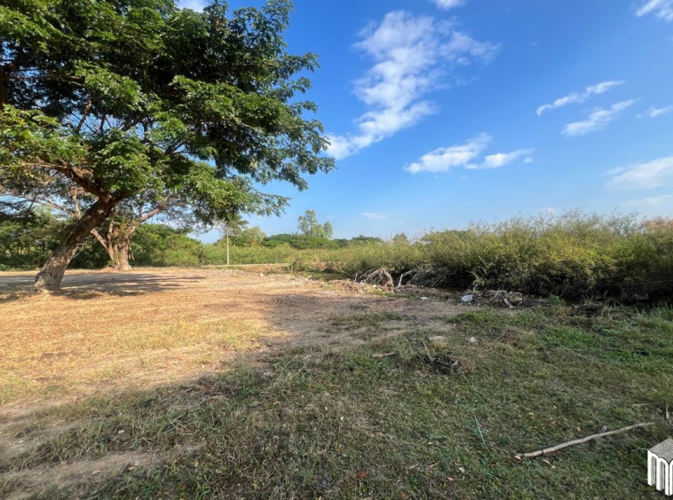 Property id208ls Land for sale in San Sai 3-1-72 sq.wa near Meajo University-MR-208LS