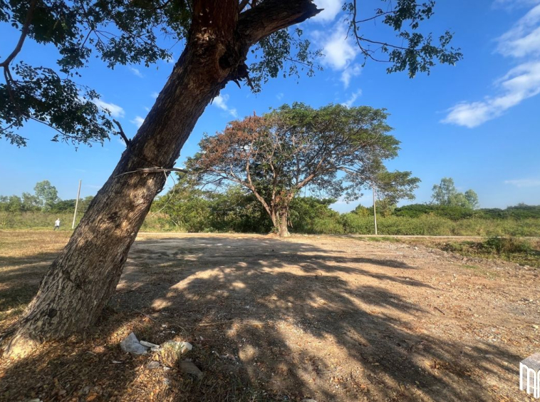 Property id208ls Land for sale in San Sai 3-1-72 sq.wa near Meajo University-MR-208LS