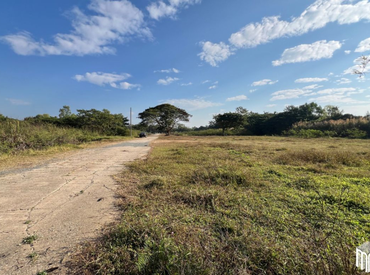 Property id208ls Land for sale in San Sai 3-1-72 sq.wa near Meajo University-MR-208LS