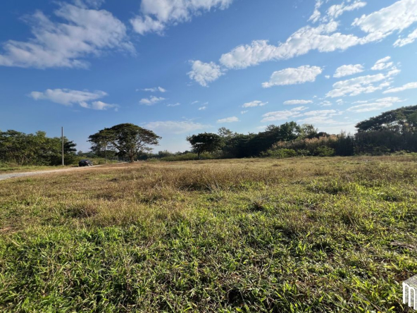 Property id208ls Land for sale in San Sai 3-1-72 sq.wa near Meajo University-MR-208LS