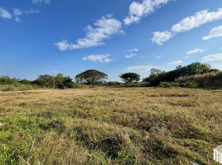 Property id208ls Land for sale in San Sai 3-1-72 sq.wa near Meajo University-MR-208LS