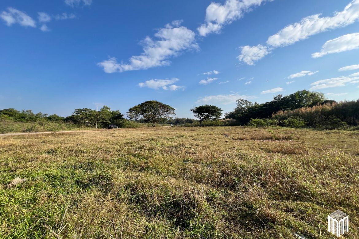 Property id208ls Land for sale in San Sai 3-1-72 sq.wa near Meajo University-MR-208LS