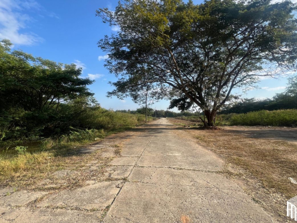 Property id208ls Land for sale in San Sai 3-1-72 sq.wa near Meajo University-MR-208LS