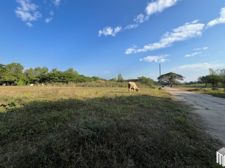 Property id208ls Land for sale in San Sai 1-1-65 sq.wa near Meajo University-MR-209LS