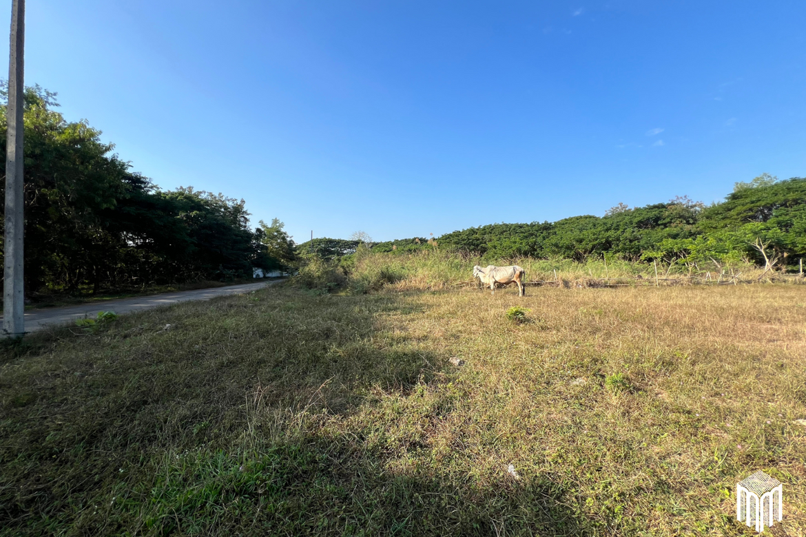 Property id208ls Land for sale in San Sai 1-1-65 sq.wa near Meajo University-MR-209LS