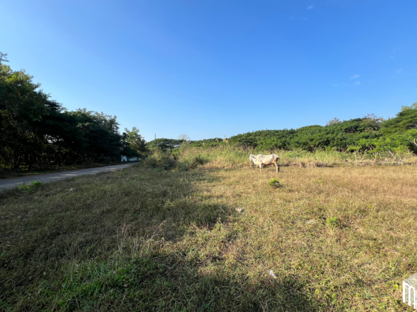 Property id208ls Land for sale in San Sai 1-1-65 sq.wa near Meajo University-MR-209LS