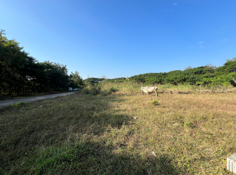 Property id208ls Land for sale in San Sai 1-1-65 sq.wa near Meajo University-MR-209LS