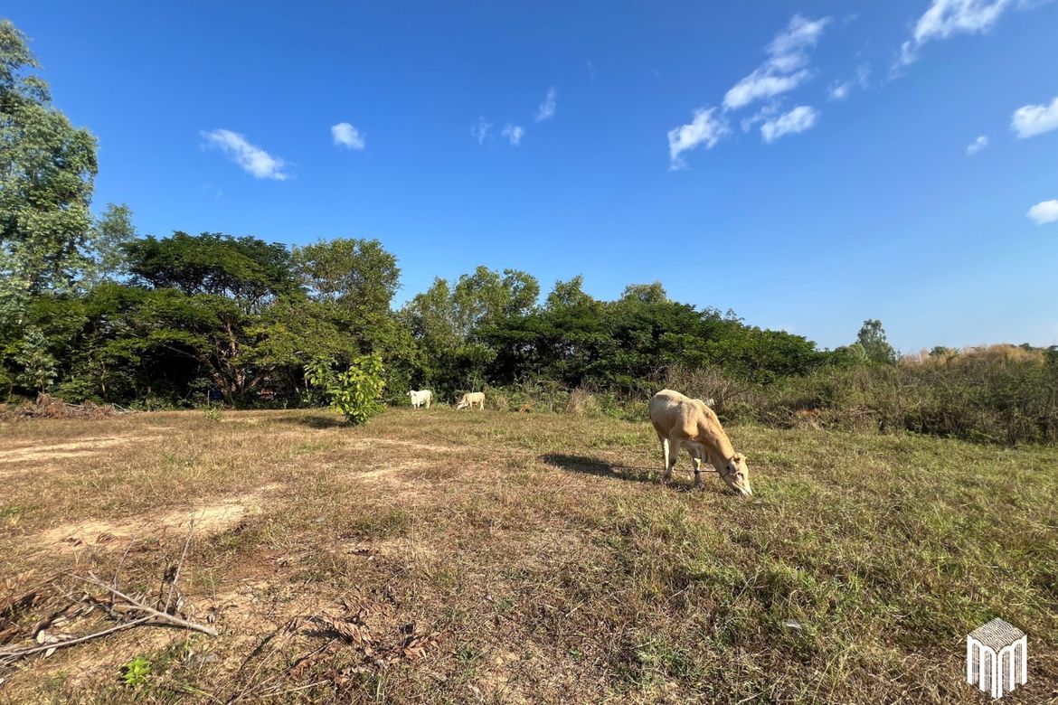 Property id208ls Land for sale in San Sai 1-1-65 sq.wa near Meajo University-MR-209LS